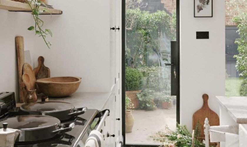 aluco ultra slim steel look exterior doors in black in the floating lock design.