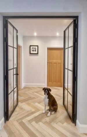 picture of Aluco aluminium internal doors open with a dog sat between them