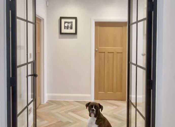 picture of Aluco aluminium internal doors open with a dog sat between them